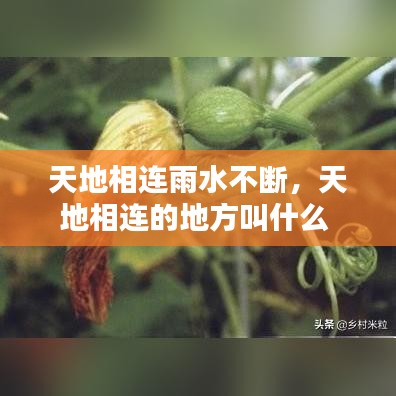 天地相连雨水不断,天地相连的地方叫什么