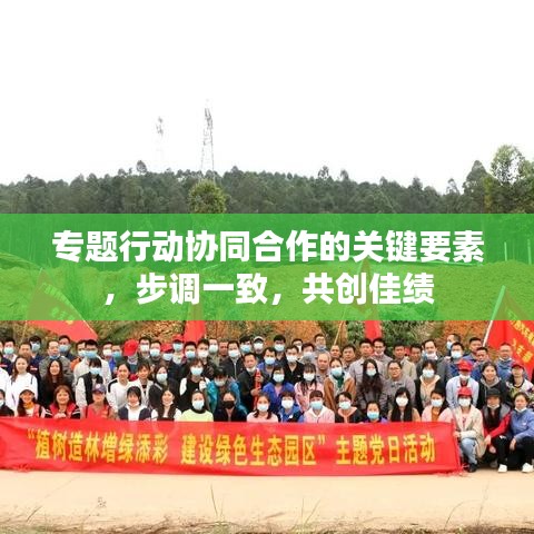 专题行动协同合作的关键要素,步调一致,共创佳绩