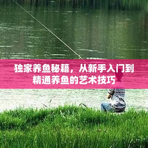 独家养鱼秘籍，从新手入门到精通养鱼的艺术技巧
