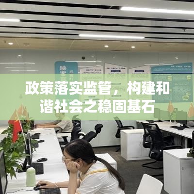 政策落实监管,构建和谐社会之稳固基石