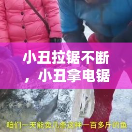 新闻资讯 第246页