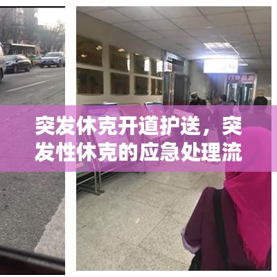 突发休克开道护送，突发性休克的应急处理流程 