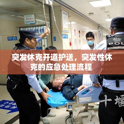 突发休克开道护送,突发性休克的应急处理流程