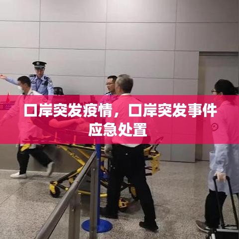口岸突发疫情,口岸突发事件应急处置
