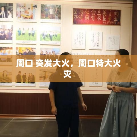 周口 突发大火，周口特大火灾 