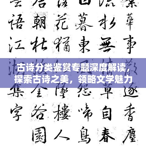 古诗分类鉴赏专题深度解读，探索古诗之美，领略文学魅力