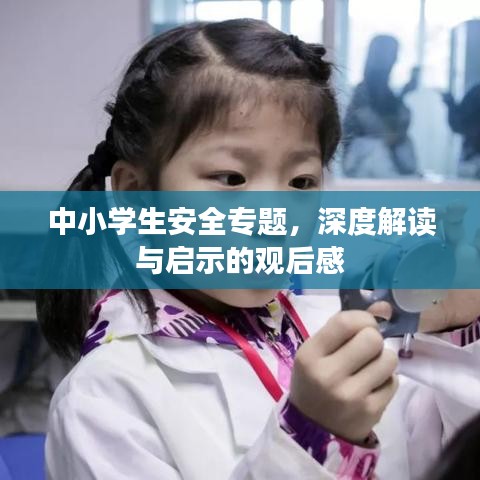 中小学生安全专题，深度解读与启示的观后感