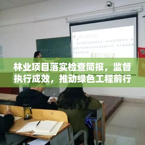 林业项目落实检查简报，监督执行成效，推动绿色工程前行