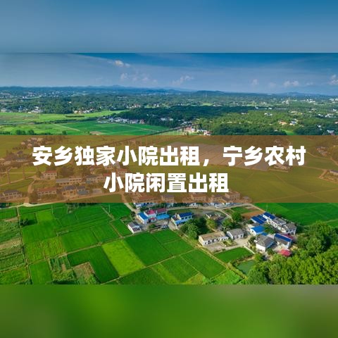 安乡独家小院出租，宁乡农村小院闲置出租 