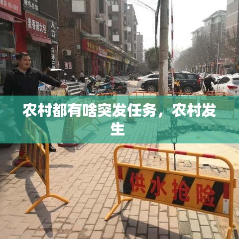 农村都有啥突发任务，农村发生 