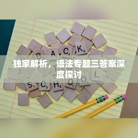独家解析，语法专题三答案深度探讨