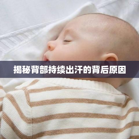 揭秘背部持续出汗的背后原因