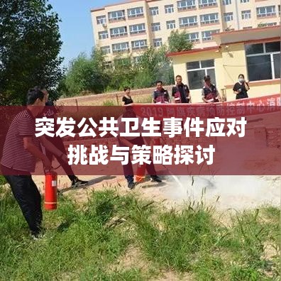 突发公共卫生事件应对挑战与策略探讨
