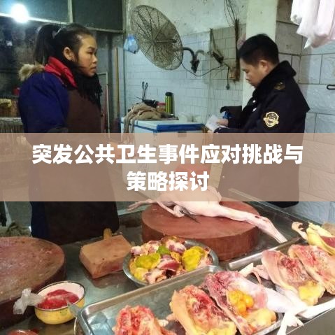 突发公共卫生事件应对挑战与策略探讨