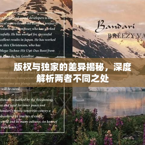 版权与独家的差异揭秘,深度解析两者不同之处