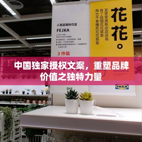 中国独家授权文案,重塑品牌价值之独特力量