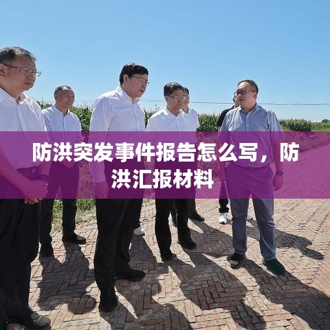 防洪突发事件报告怎么写,防洪汇报材料