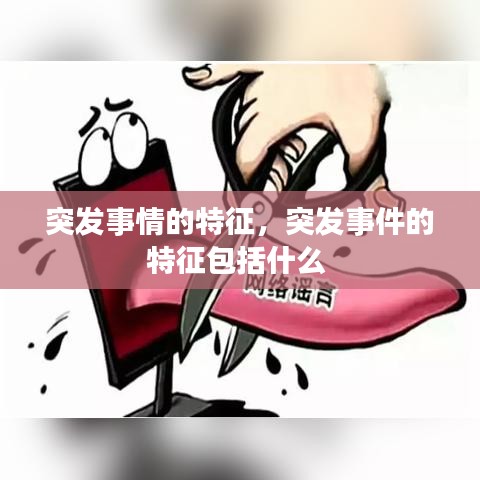 突发事情的特征，突发事件的特征包括什么 