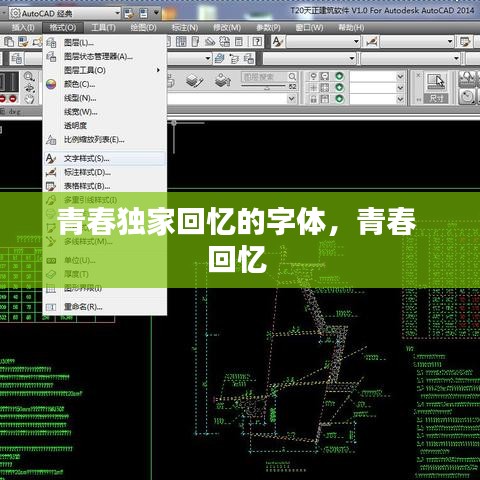 青春独家回忆的字体,青春 回忆