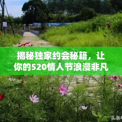 揭秘独家约会秘籍，让你的520情人节浪漫非凡！