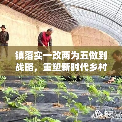 镇落实一改两为五做到战略,重塑新时代乡村魅力