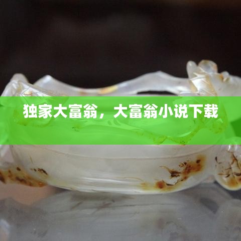 2025年新电脑必装的十款软件清单及智慧宁津官方下载指南