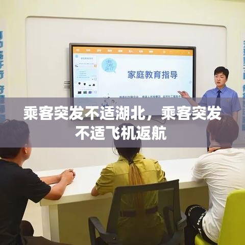 乘客突发不适湖北,乘客突发不适飞机返航