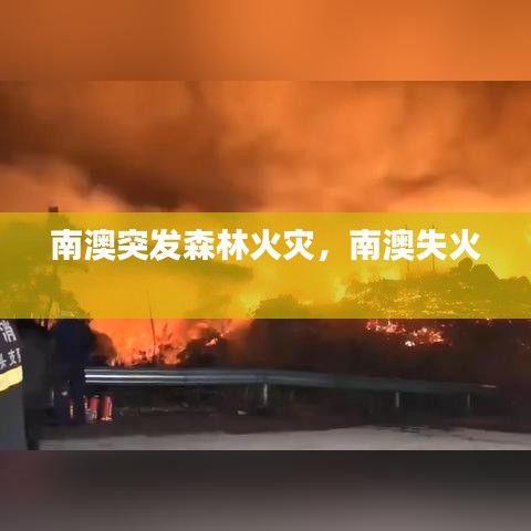 南澳突发森林火灾，南澳失火 
