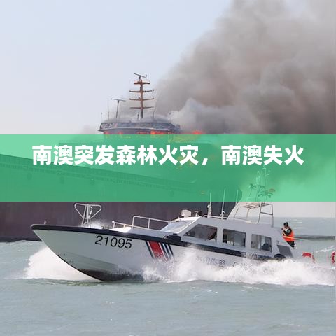 南澳突发森林火灾,南澳失火