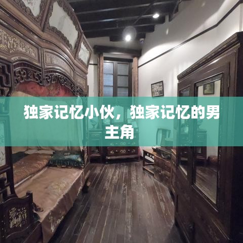 独家记忆小伙,独家记忆的男主角