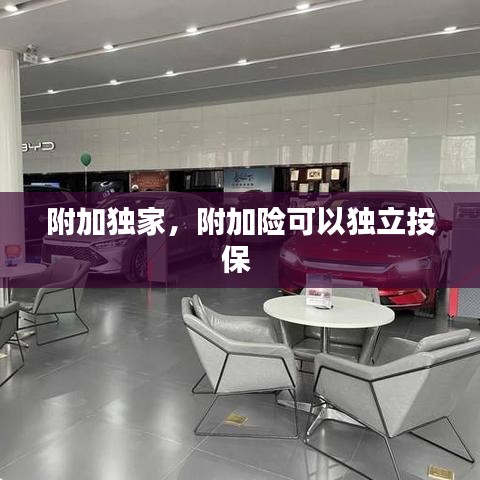 附加独家，附加险可以独立投保 