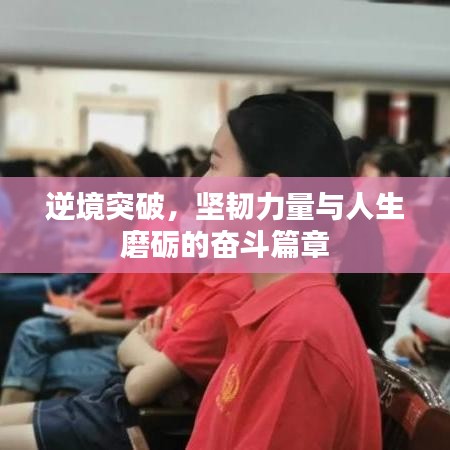 逆境突破,坚韧力量与人生磨砺的奋斗篇章