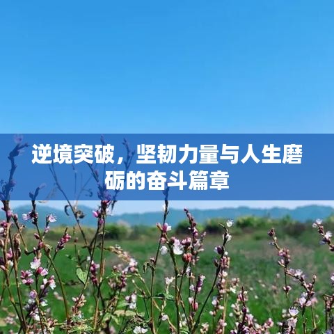 逆境突破,坚韧力量与人生磨砺的奋斗篇章