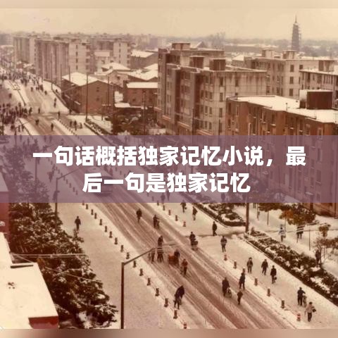 一句话概括独家记忆小说,最后一句是独家记忆