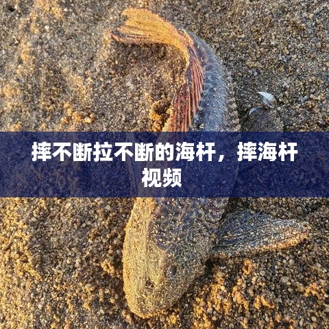 走马章台 第7页