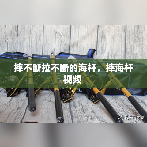 摔不断拉不断的海杆,摔海杆视频