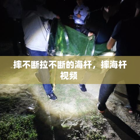 摔不断拉不断的海杆,摔海杆视频