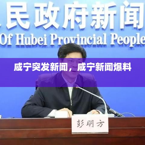 咸宁突发新闻，咸宁新闻爆料 