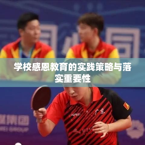 学校感恩教育的实践策略与落实重要性