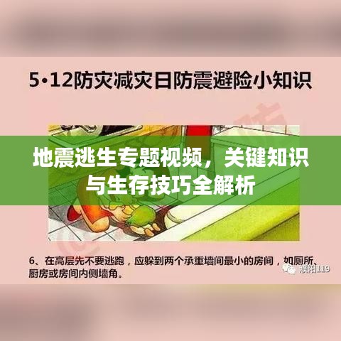 地震逃生专题视频，关键知识与生存技巧全解析