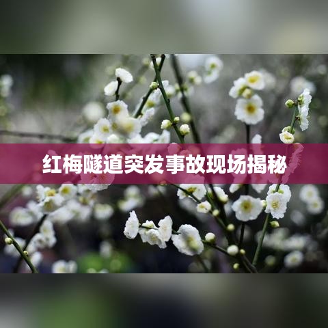 红梅隧道突发事故现场揭秘