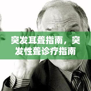 突发耳聋指南，突发性聋诊疗指南 
