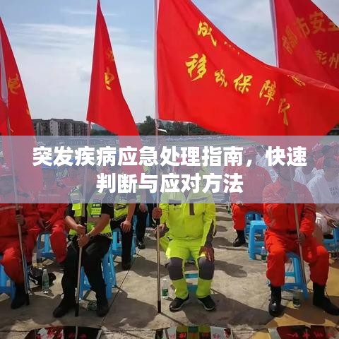 突发疾病应急处理指南，快速判断与应对方法