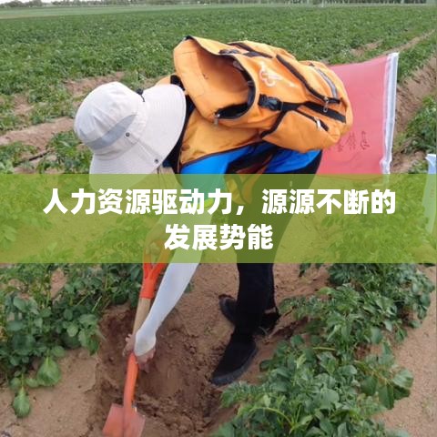 人力资源驱动力，源源不断的发展势能