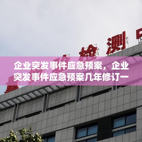 软件集官方下载,全面解析数据执行&交互版1_v6.461