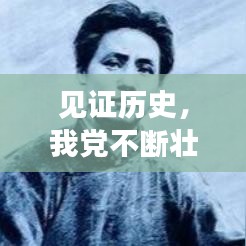 见证历史,我党不断壮大的历程与未来展望