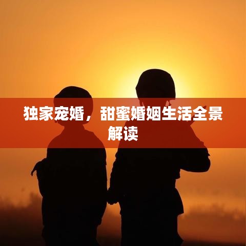 独家宠婚,甜蜜婚姻生活全景解读