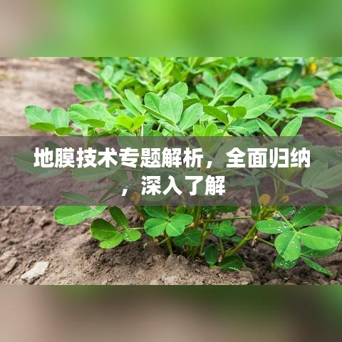 地膜技术专题解析，全面归纳，深入了解