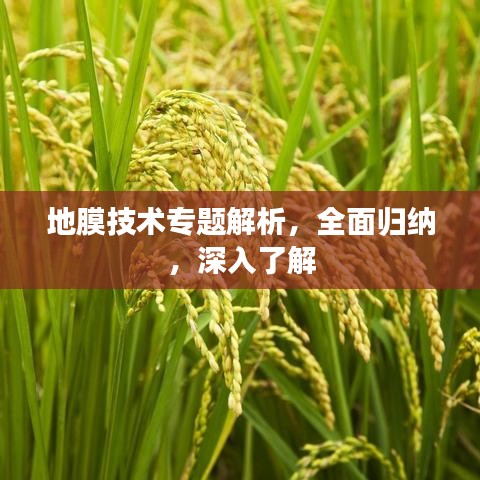 地膜技术专题解析,全面归纳,深入了解