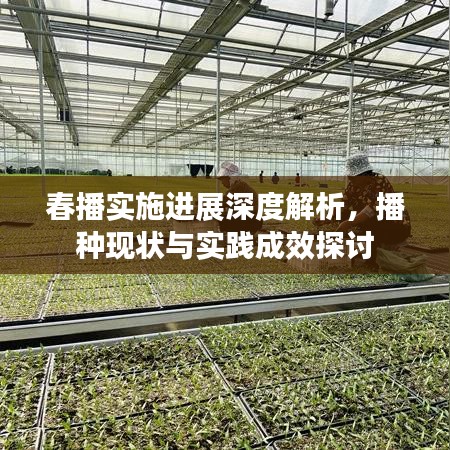 春播实施进展深度解析,播种现状与实践成效探讨